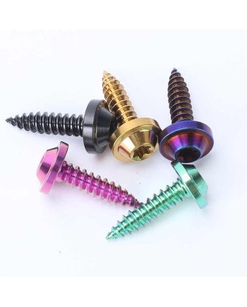 Titanium Alloy plum Self Tapping Screws